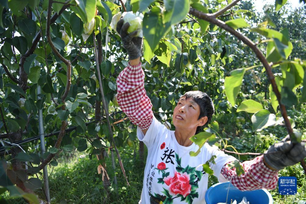 白菜网彩金